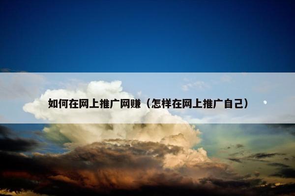 如何在网上推广网赚（怎样在网上推广自己）