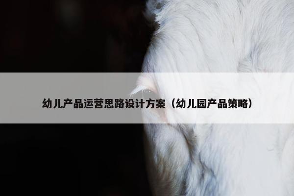 幼儿产品运营思路设计方案（幼儿园产品策略）