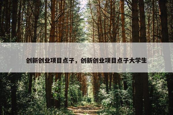创新创业项目点子，创新创业项目点子大学生