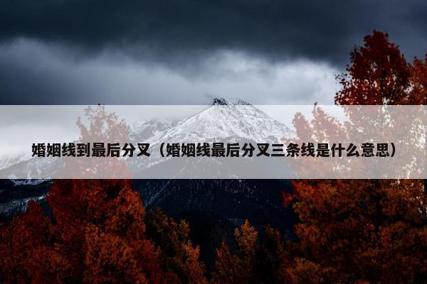 婚姻线到最后分叉（婚姻线最后分叉三条线是什么意思）