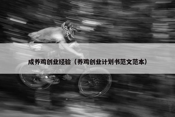 成养鸡创业经验（养鸡创业计划书范文范本）