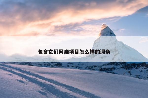 包含它们网赚项目怎么样的词条
