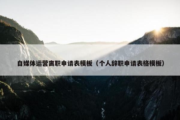 自媒体运营离职申请表模板（个人辞职申请表格模板）