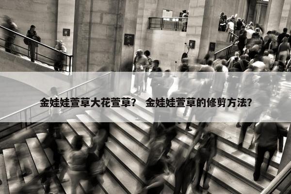 金娃娃萱草大花萱草？ 金娃娃萱草的修剪方法？