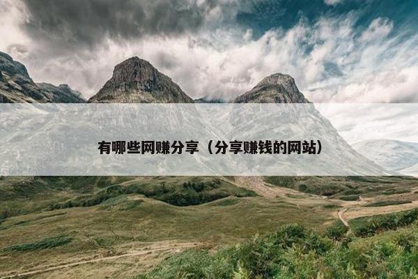 有哪些网赚分享（分享赚钱的网站）