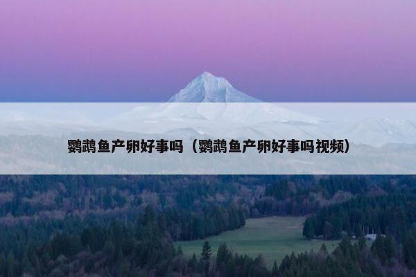 鹦鹉鱼产卵好事吗（鹦鹉鱼产卵好事吗视频）