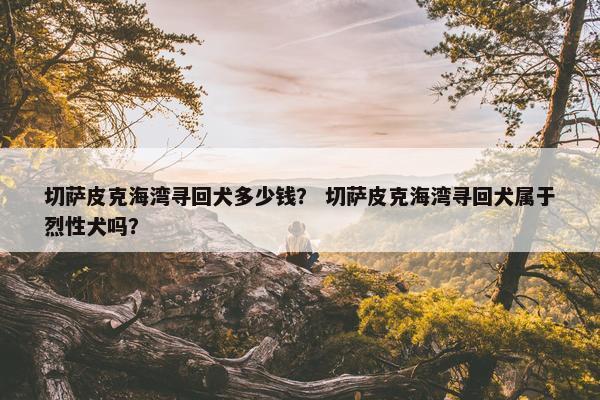 切萨皮克海湾寻回犬多少钱？ 切萨皮克海湾寻回犬属于烈性犬吗？