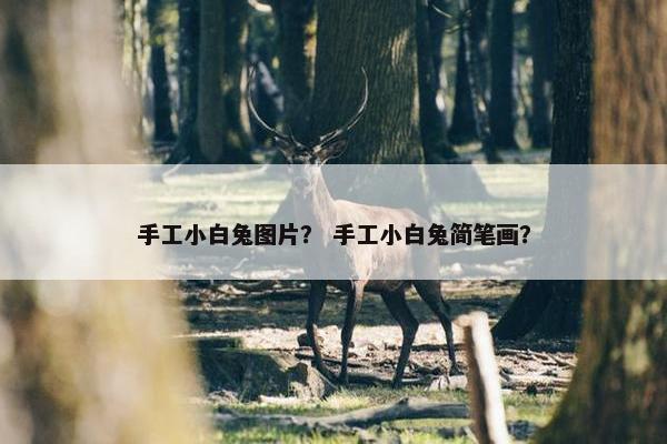 手工小白兔图片？ 手工小白兔简笔画？
