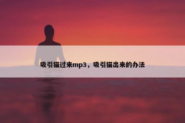 吸引猫过来mp3，吸引猫出来的办法