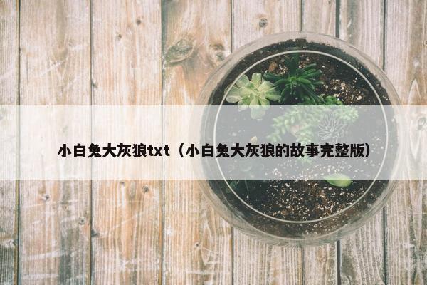 小白兔大灰狼txt（小白兔大灰狼的故事完整版）