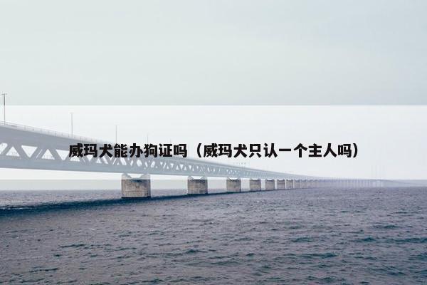威玛犬能办狗证吗（威玛犬只认一个主人吗）