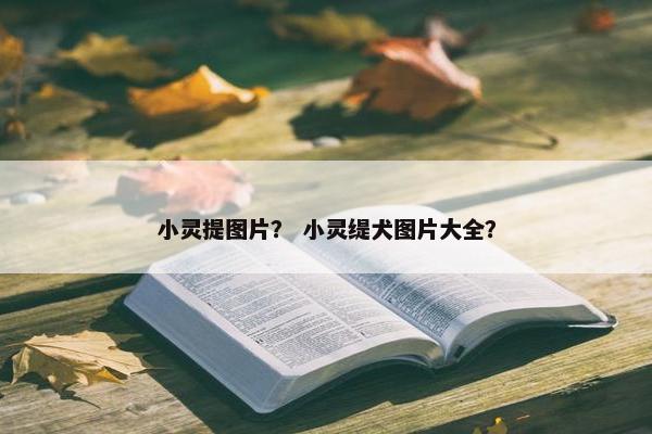 小灵提图片？ 小灵缇犬图片大全？