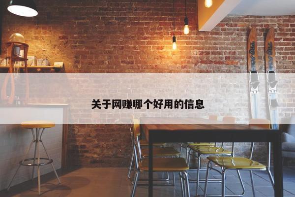 关于网赚哪个好用的信息