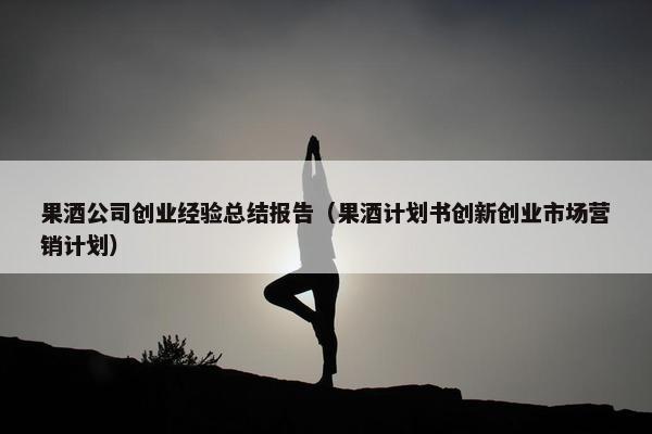 果酒公司创业经验总结报告（果酒计划书创新创业市场营销计划）