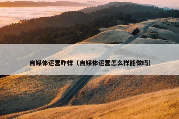 自媒体运营咋样（自媒体运营怎么样能做吗）