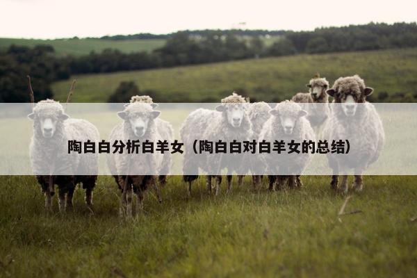 陶白白分析白羊女（陶白白对白羊女的总结）