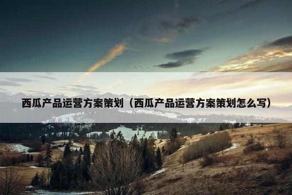 西瓜产品运营方案策划（西瓜产品运营方案策划怎么写）