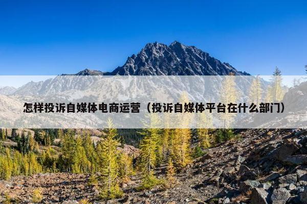怎样投诉自媒体电商运营（投诉自媒体平台在什么部门）