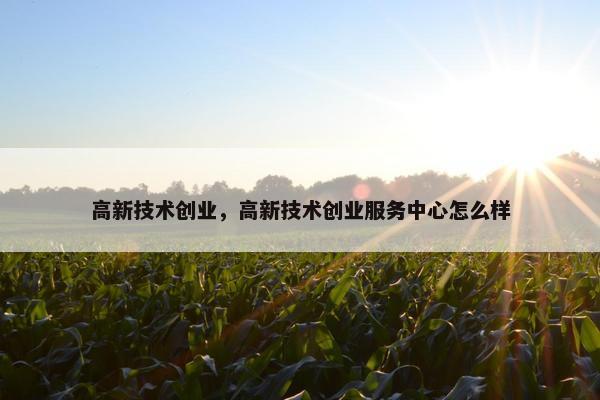 高新技术创业，高新技术创业服务中心怎么样