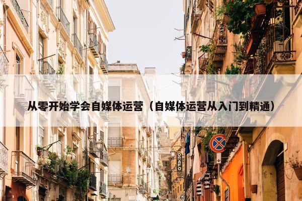 从零开始学会自媒体运营（自媒体运营从入门到精通）