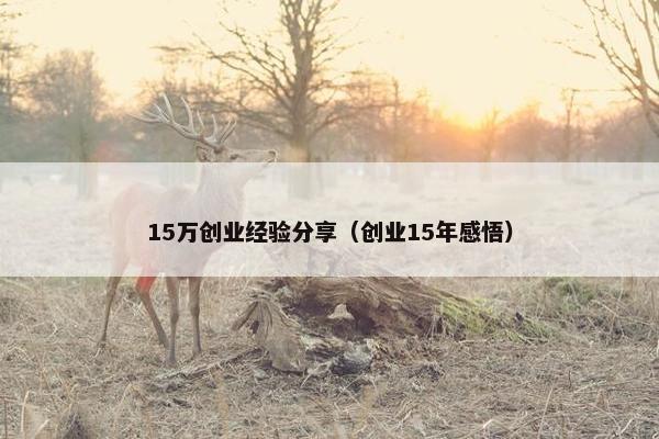 15万创业经验分享（创业15年感悟）