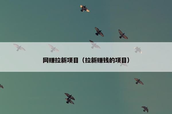 网赚拉新项目（拉新赚钱的项目）