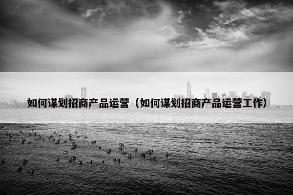 如何谋划招商产品运营（如何谋划招商产品运营工作）
