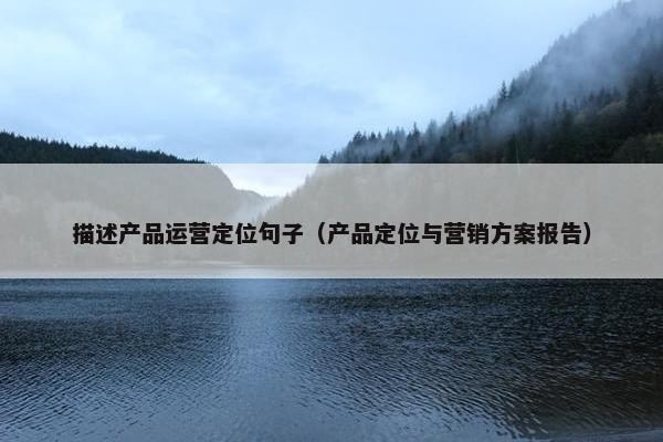 描述产品运营定位句子（产品定位与营销方案报告）