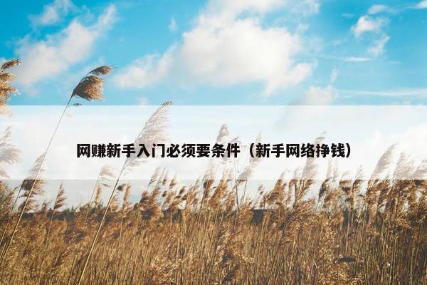 网赚新手入门必须要条件（新手网络挣钱）