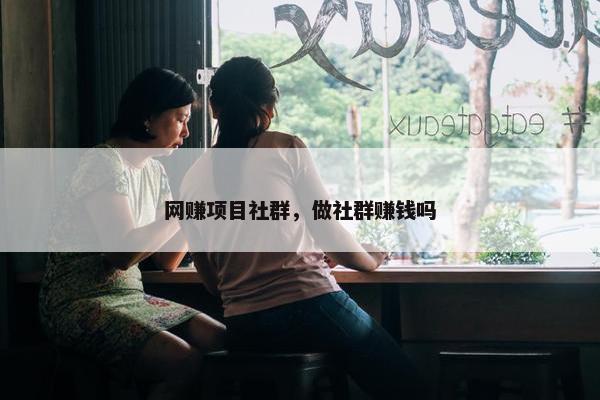 网赚项目社群，做社群赚钱吗