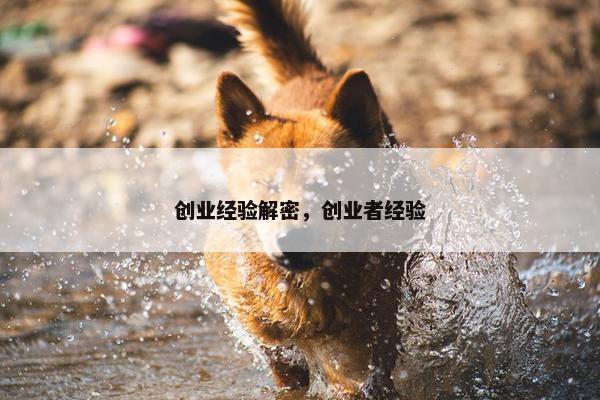 创业经验解密，创业者经验