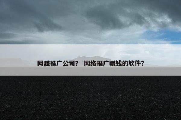 网赚推广公司？ 网络推广赚钱的软件？