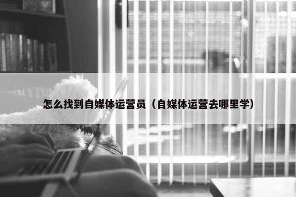 怎么找到自媒体运营员（自媒体运营去哪里学）
