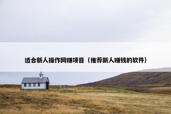 适合新人操作网赚项目（推荐新人赚钱的软件）
