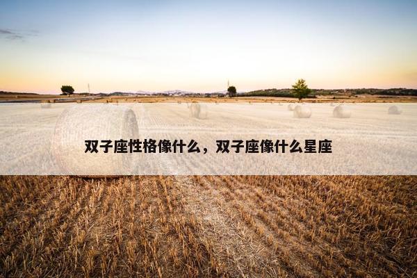 双子座性格像什么，双子座像什么星座
