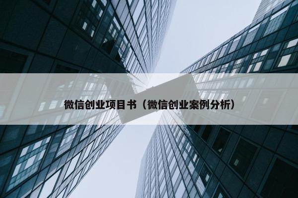 微信创业项目书（微信创业案例分析）