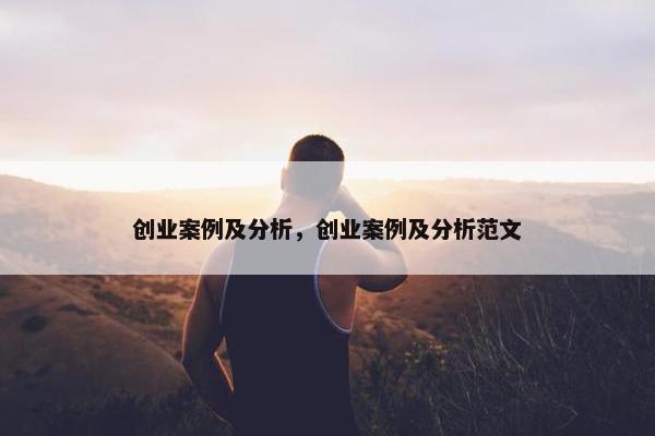 创业案例及分析，创业案例及分析范文