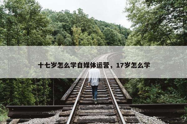 十七岁怎么学自媒体运营，17岁怎么学