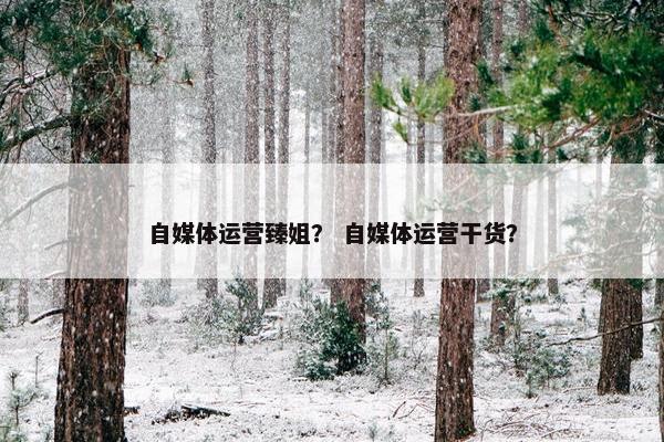 自媒体运营臻姐？ 自媒体运营干货？