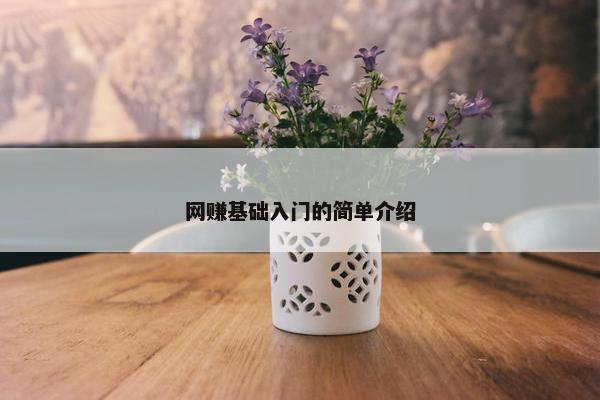 网赚基础入门的简单介绍