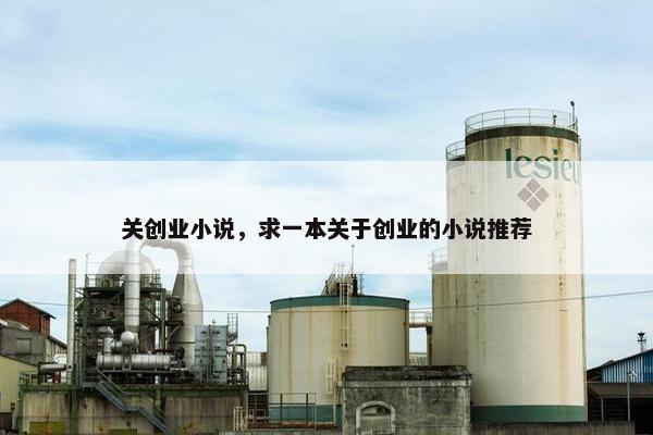 关创业小说，求一本关于创业的小说推荐