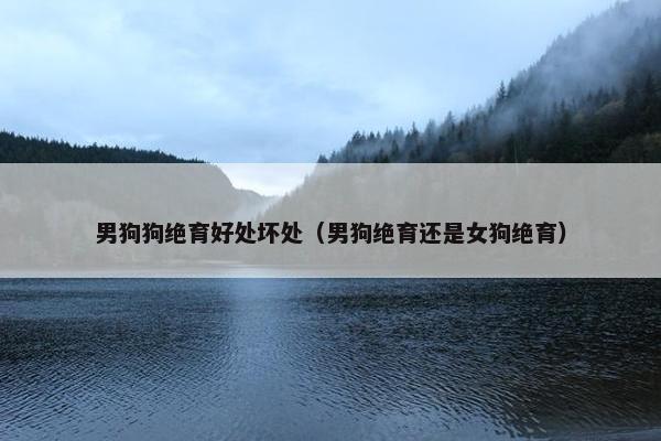 男狗狗绝育好处坏处（男狗绝育还是女狗绝育）
