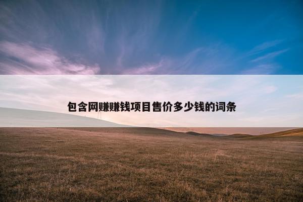 包含网赚赚钱项目售价多少钱的词条
