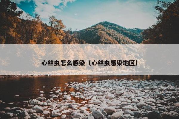 心丝虫怎么感染（心丝虫感染地区）