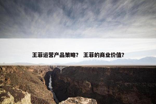 王菲运营产品策略？ 王菲的商业价值？