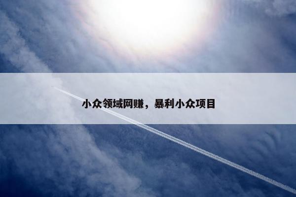 小众领域网赚，暴利小众项目