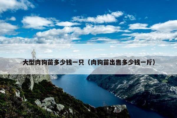 大型肉狗苗多少钱一只（肉狗苗出售多少钱一斤）