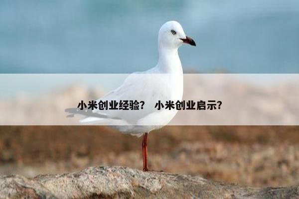 小米创业经验？ 小米创业启示？
