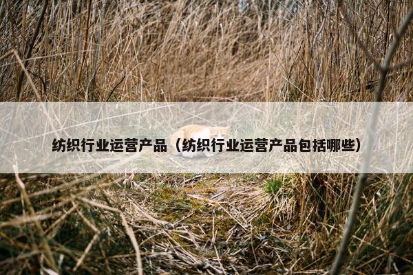 纺织行业运营产品（纺织行业运营产品包括哪些）