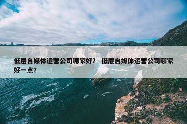 低层自媒体运营公司哪家好？ 低层自媒体运营公司哪家好一点？